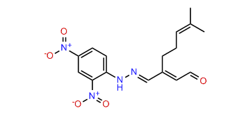 2,4-Dinitrophenylhydrazone citral